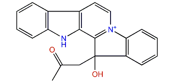Homofascaplysin A